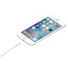 Apple Cabo Lightning (1m)