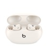 BEATS STUDIO BUDS + TRUE WIRELESS NOISE CANCEL