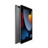 iPad (9ª geração) 10.2" Wi-Fi + SIM 256GB Space Gray